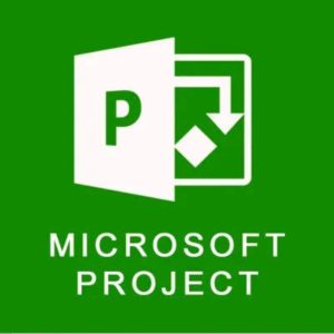 Microsoft Project Server 2019